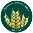 logo-8